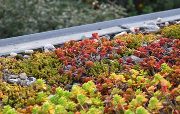 the cost of Atcham green roof installation