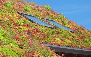 Atcham living roof systems